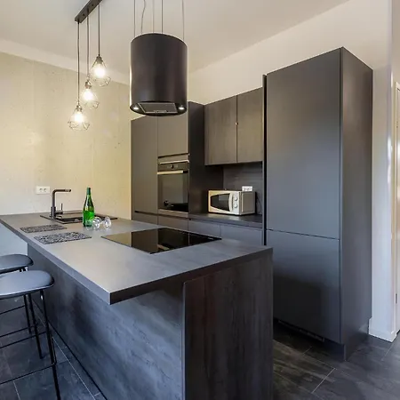 Apartment Lovely In With Kitchen